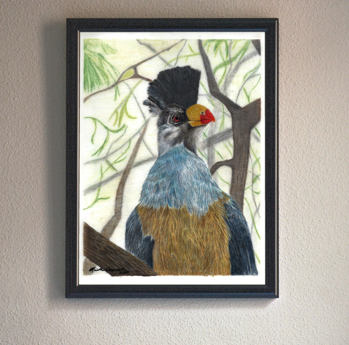 Great Blue Turaco Art Print