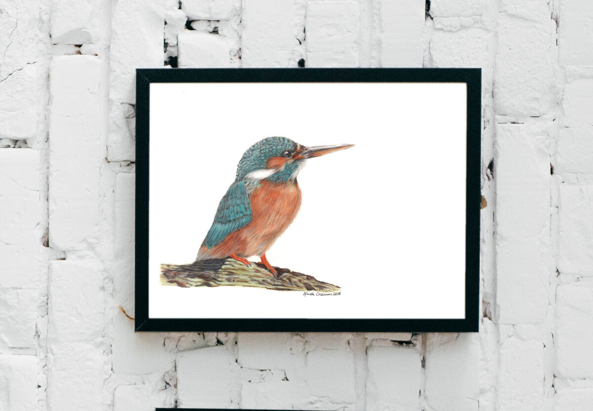 Kingfisher Art Print