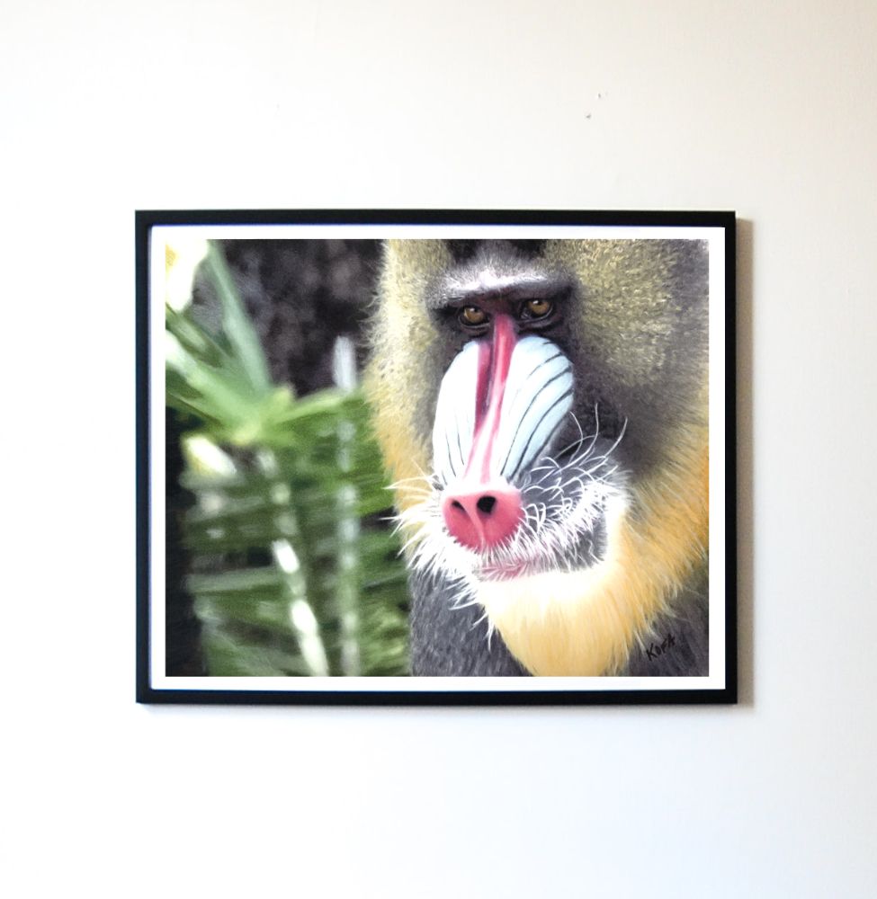 Bakari Colored Pencil Art Print