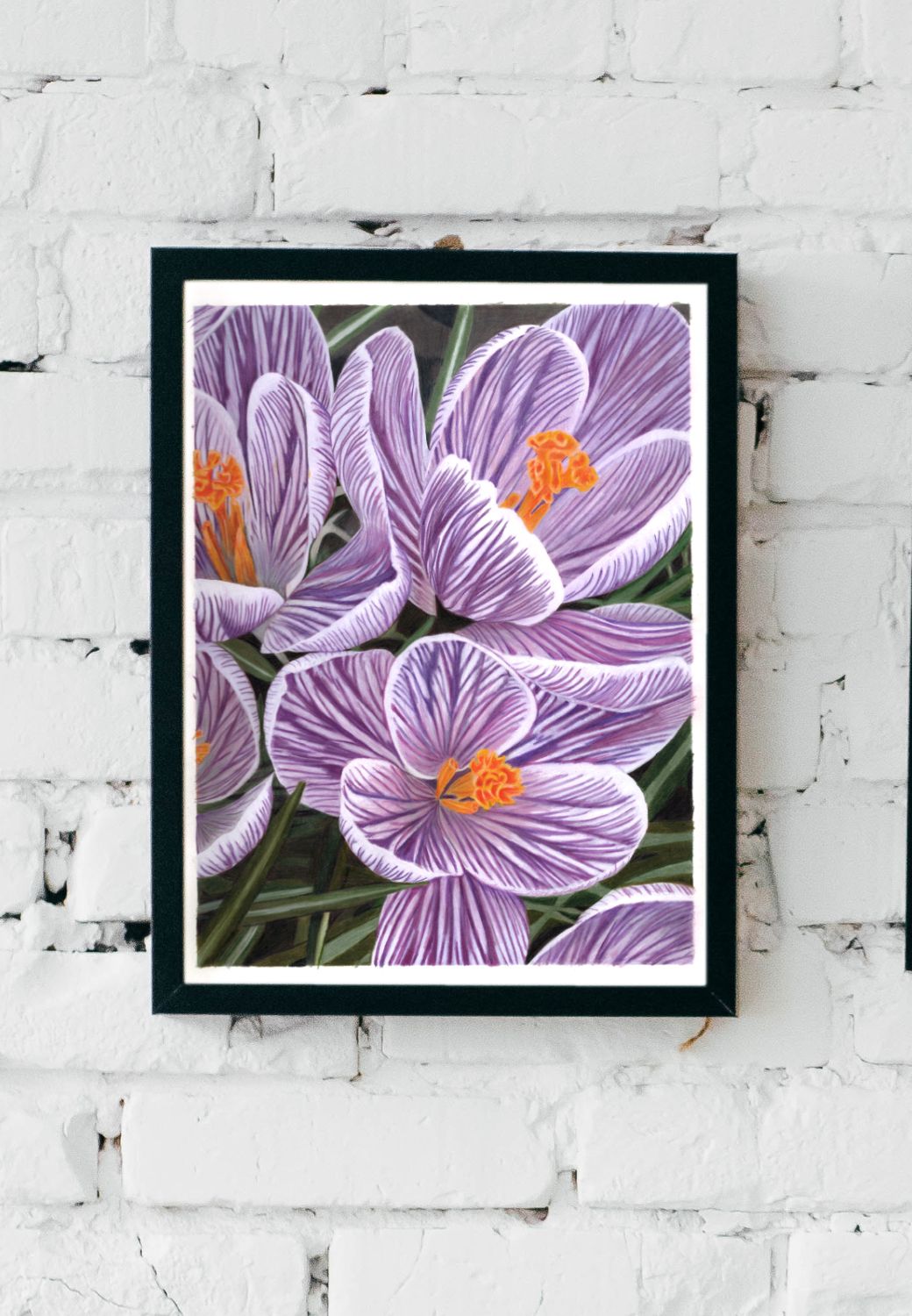 Dutch Crocus Colored Pencil Art Print