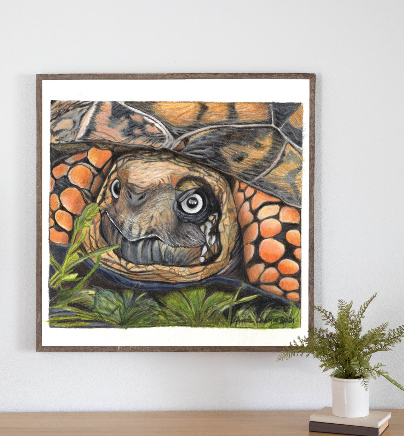 Box Turtle Colored Pencil Art Print