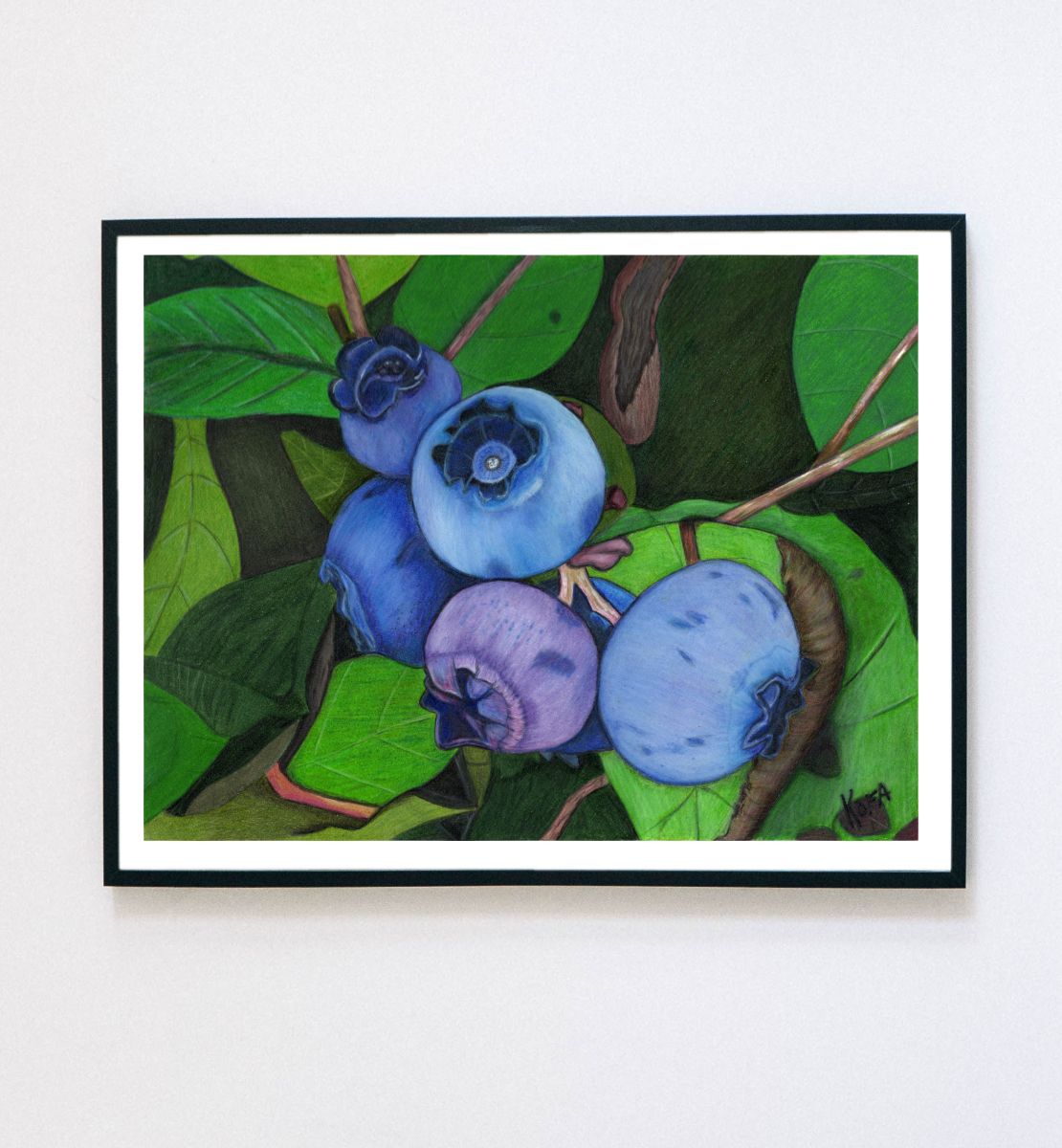Blueberry Bounty Colored Pencil Art Print