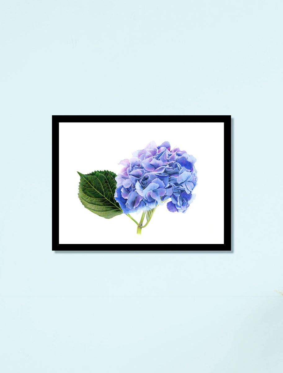 Periwinkle Perfection Fine Art Print