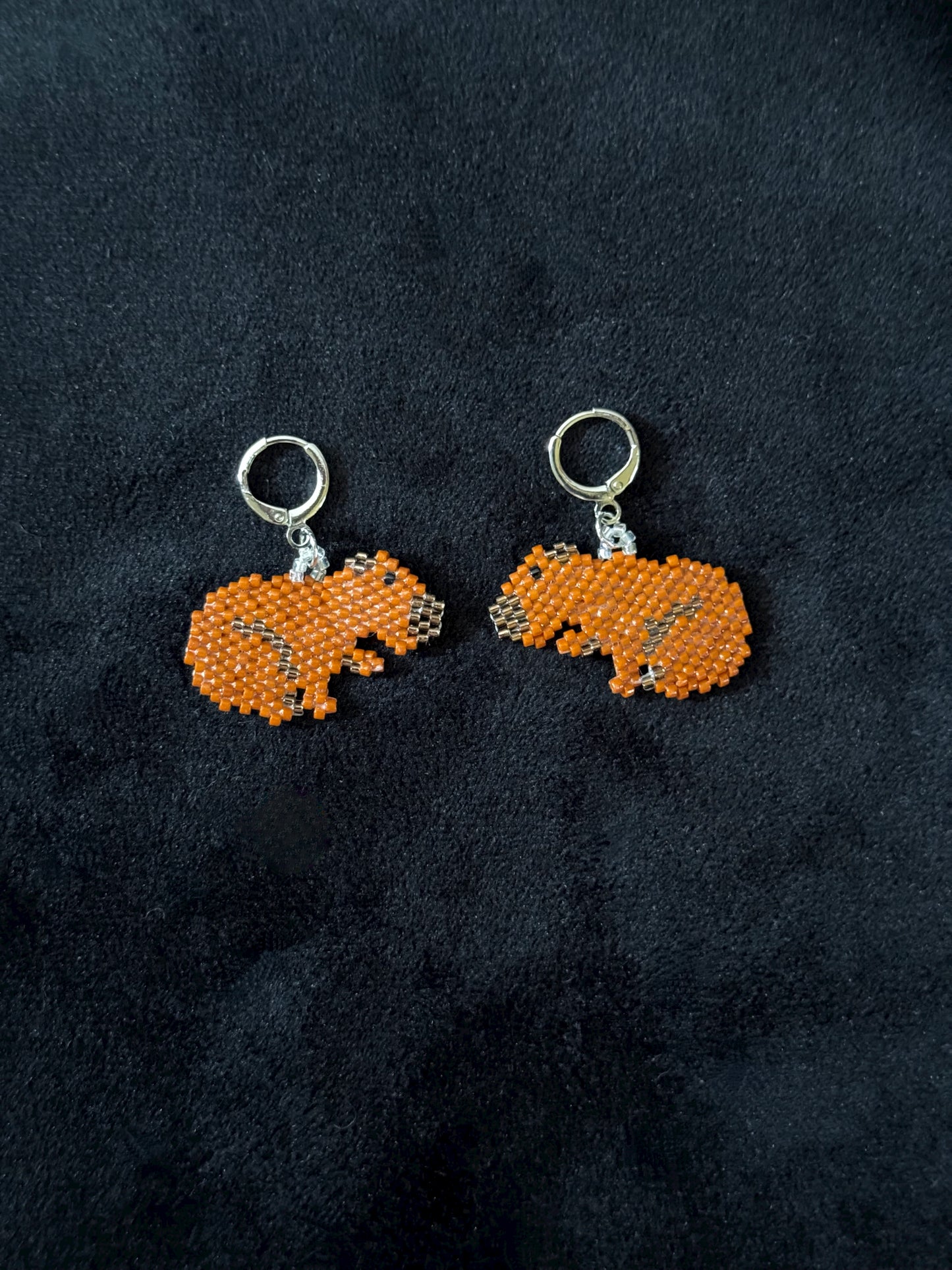 Playful Capybara Leverback Earrings