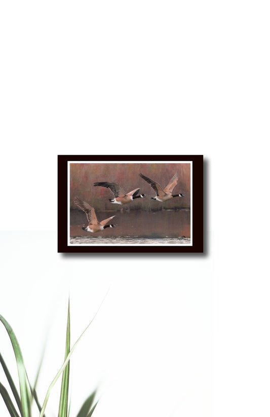 The Voyagers Art Print