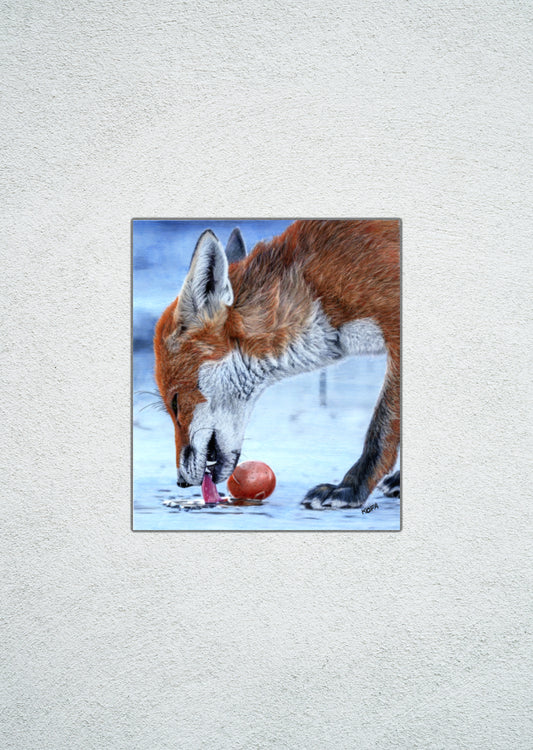 Poached Egg Fine Art Print