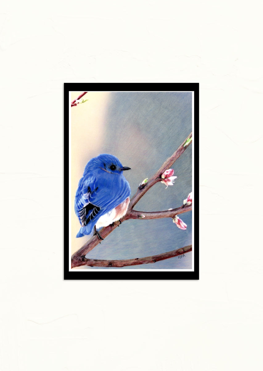 Bluebird of Happiness Fine Art Print
